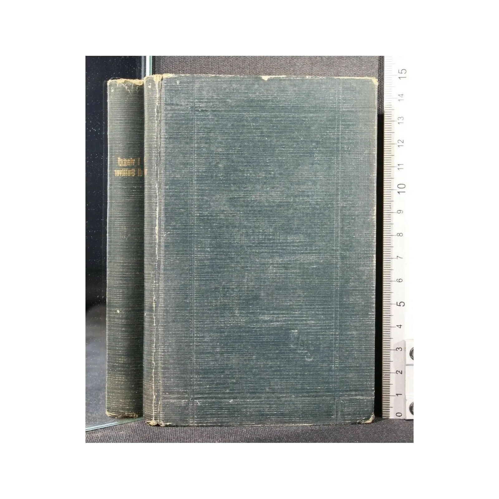 I VIAGGI DI GULLIVER