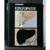CONCEPTA EPATOPATIE