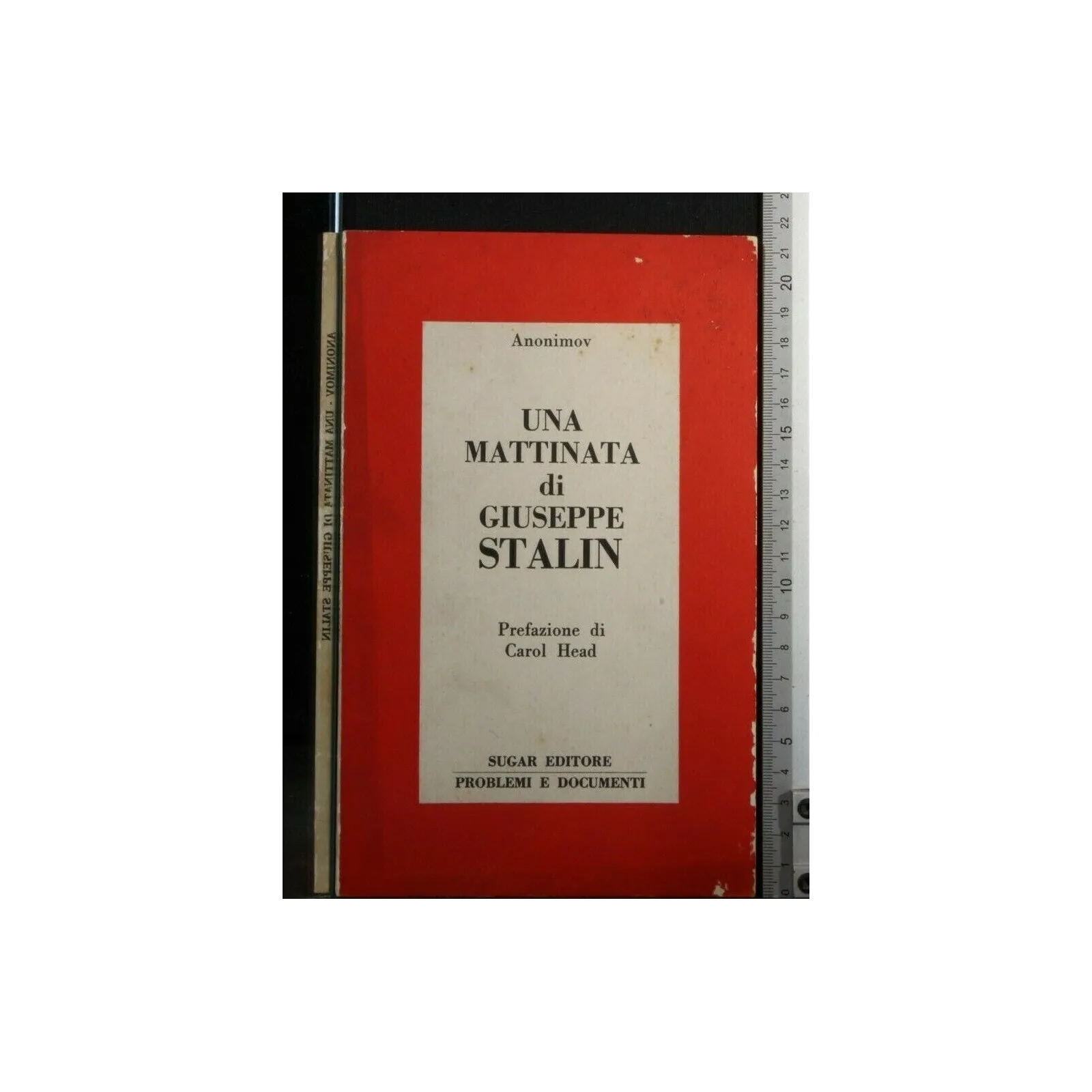 UNA MATTINATA DI GIUSEPPE STALIN