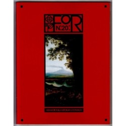 FOR. RIVISTA AIF PER LA FORMAZIONE-n 20, maggio-1993