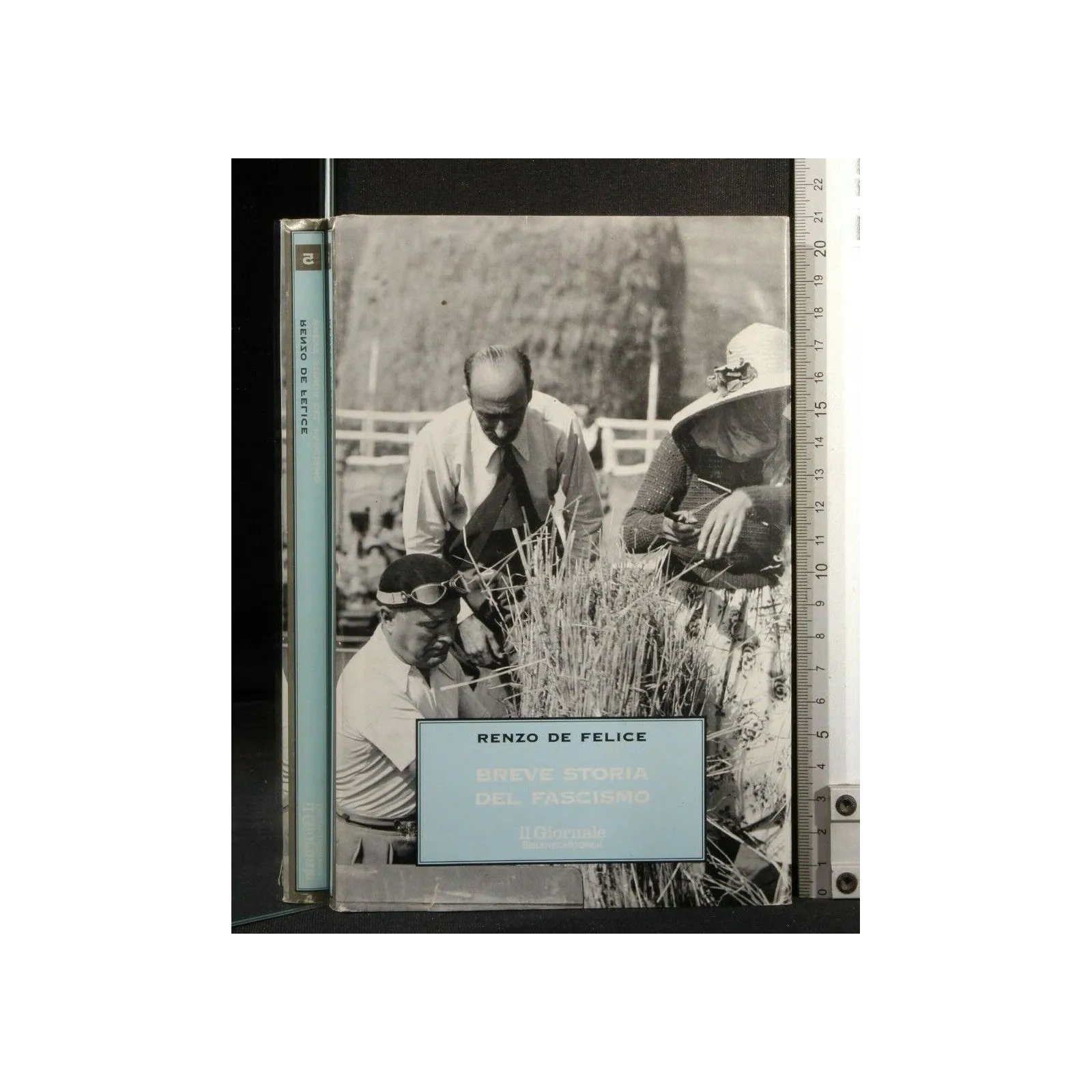 BREVE STORIA DEL FASCISMO