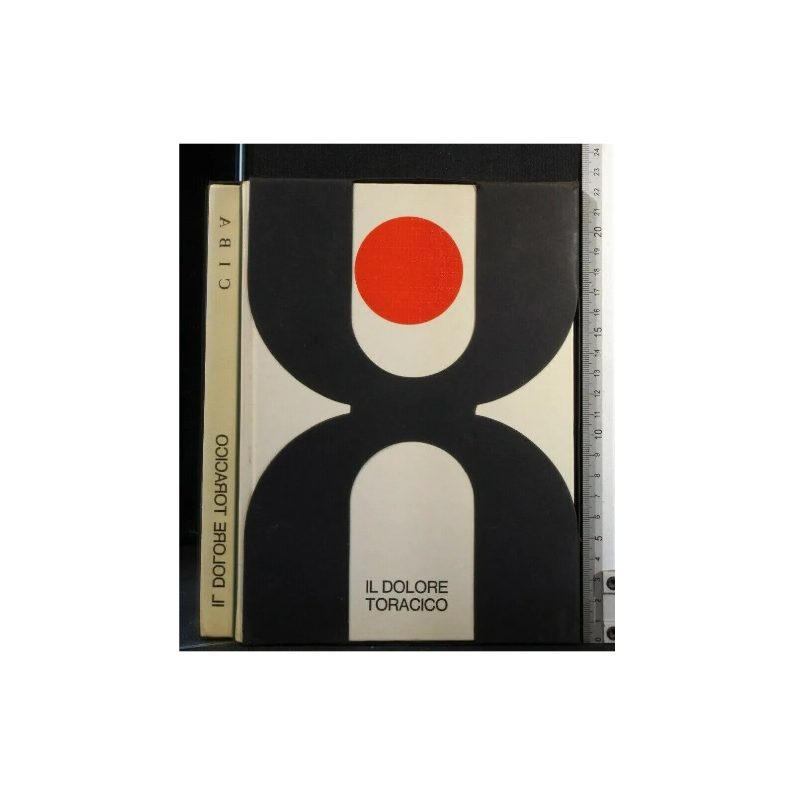 IL DOLORE TORACICO