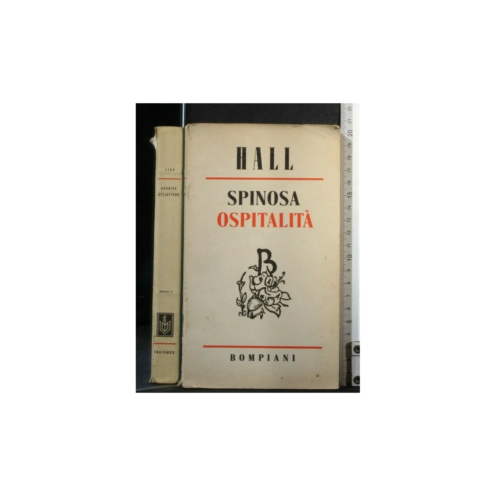 SPINOSA OSPITALITA'