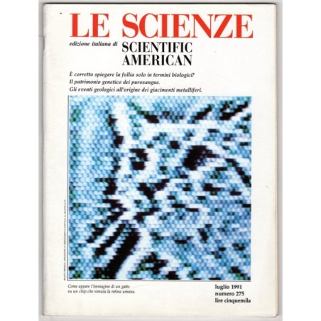 LE SCIENZE. EDIZIONE ITALIANA DI SCIENTIFIC AMERICAN-n 275, luglio-1991