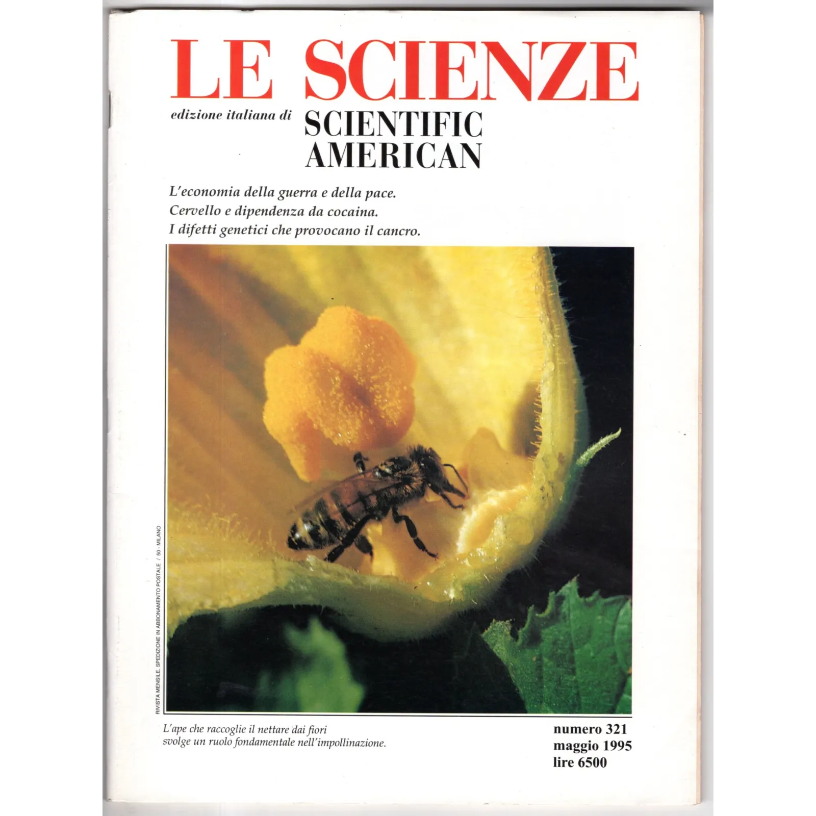 LE SCIENZE. EDIZIONE ITALIANA DI SCIENTIFIC AMERICAN-n 321, maggio-1995