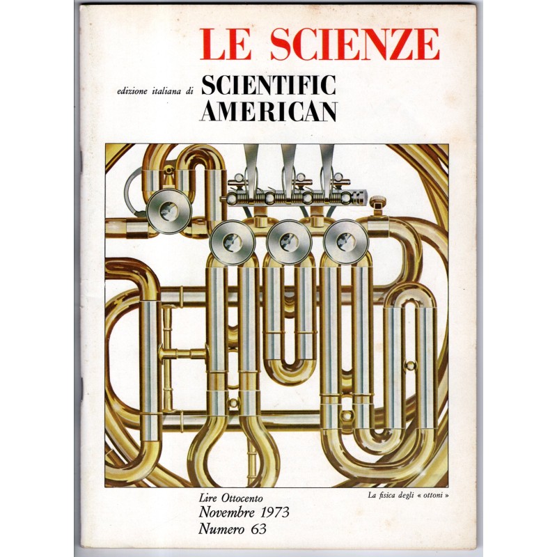 LE SCIENZE. EDIZIONE ITALIANA DI SCIENTIFIC AMERICAN-n 63, novembre-1973