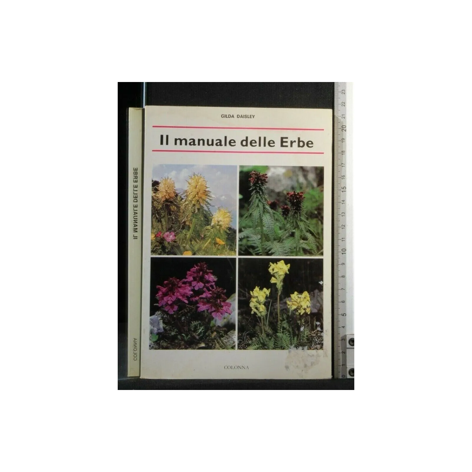 IL MANUALE DELLE ERBE