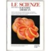 LE SCIENZE. EDIZIONE ITALIANA DI SCIENTIFIC AMERICAN-n 304, dicembre-1993