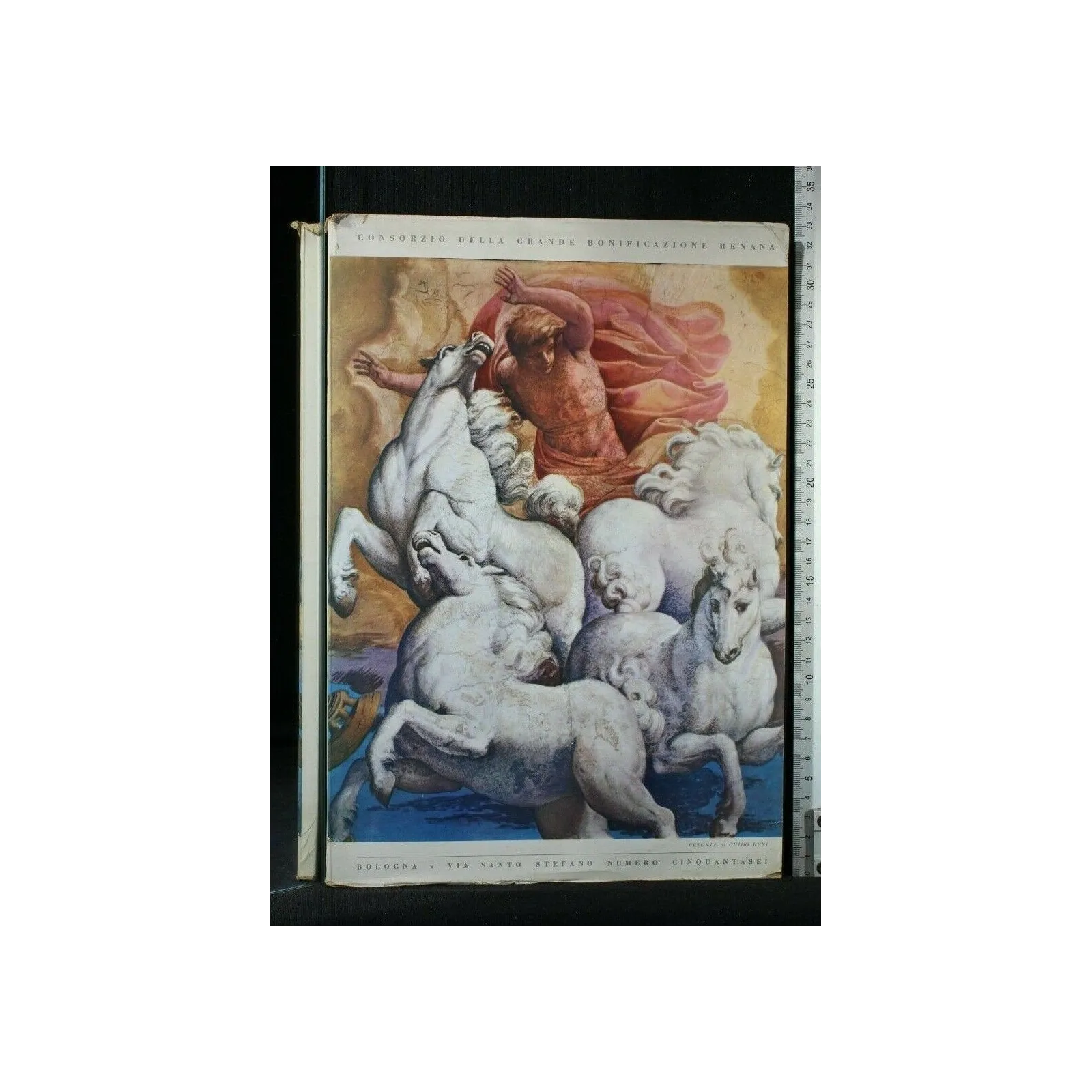 CONSORZIO DELLA GRANDE BONIFICAZIONE RENANA