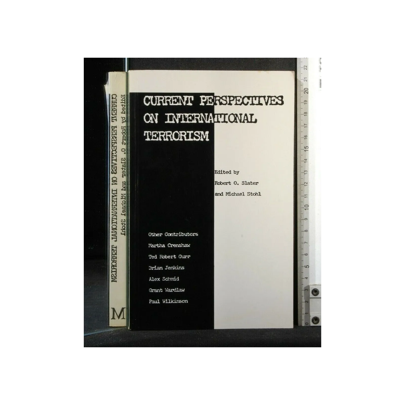 CURRENT PERSPECTIVES ON TNTERNATIONAL TERRORISM