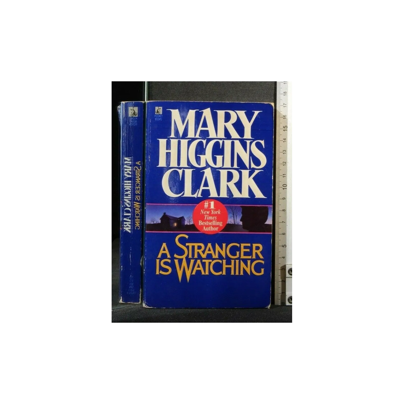 A STRANGER IS WATCHING