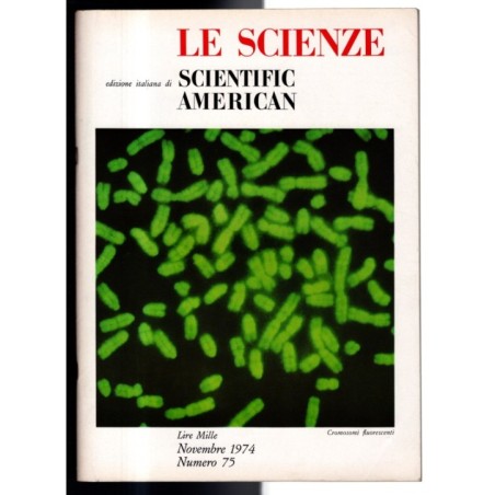 LE SCIENZE. EDIZIONE ITALIANA DI SCIENTIFIC AMERICAN-n 75, novembre-1974