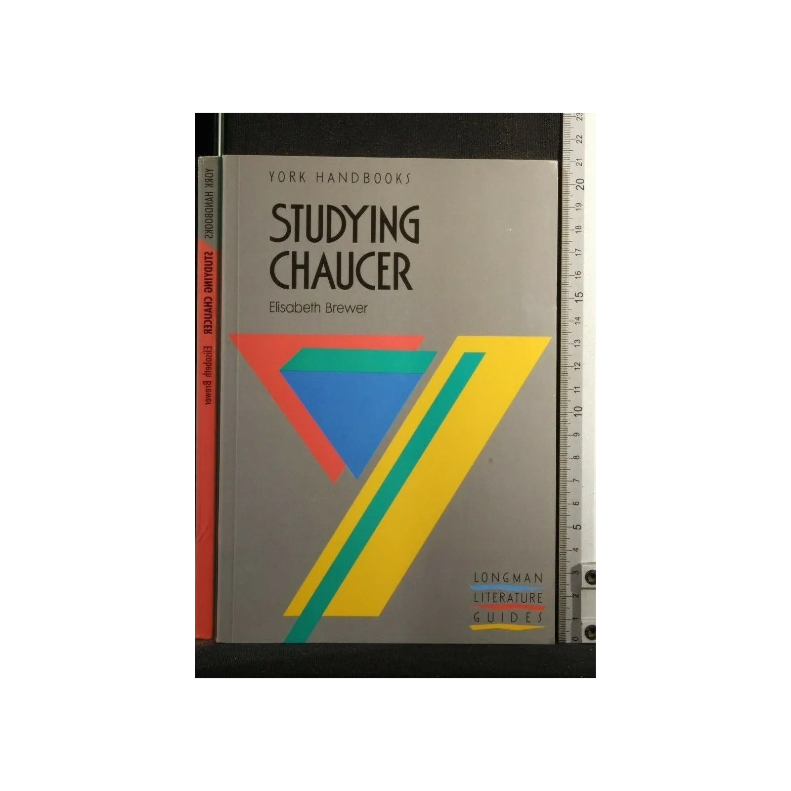 YOUR HANDBOOKS STUDYING CHAUCER