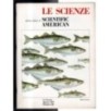LE SCIENZE. EDIZIONE ITALIANA DI SCIENTIFIC AMERICAN-n 168, agosto-1982