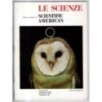 LE SCIENZE. EDIZIONE ITALIANA DI SCIENTIFIC AMERICAN-n 162, febbraio-1982