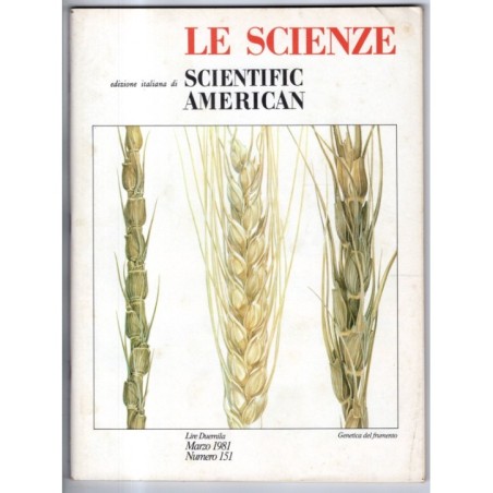 LE SCIENZE. EDIZIONE ITALIANA DI SCIENTIFIC AMERICAN-n 151, marzo-1981