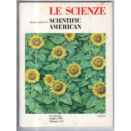 LE SCIENZE. EDIZIONE ITALIANA DI SCIENTIFIC AMERICAN-n 155, luglio-1981