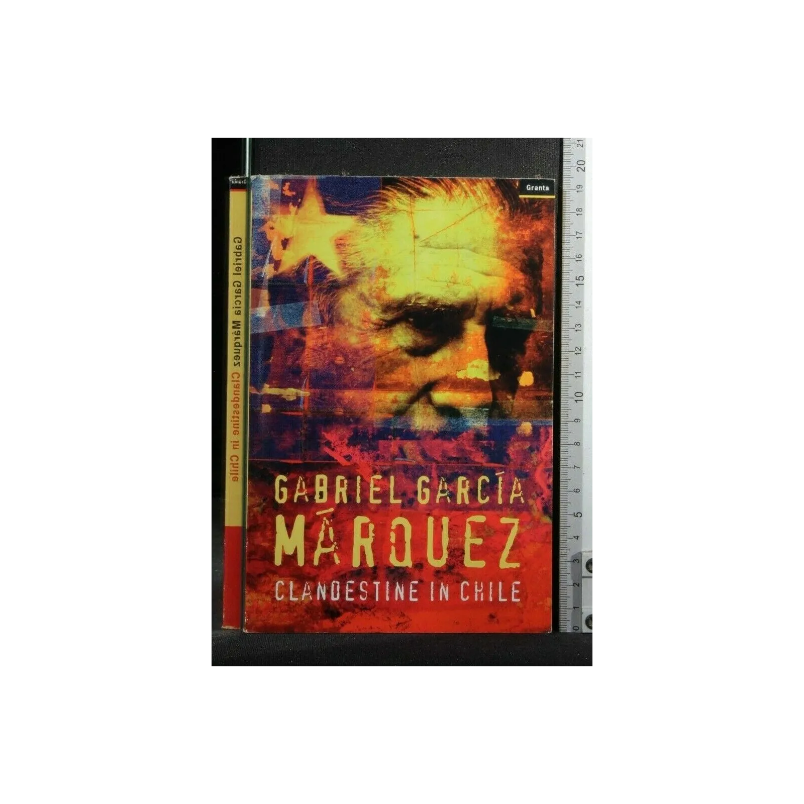 CLANDESTINE IN CHILE