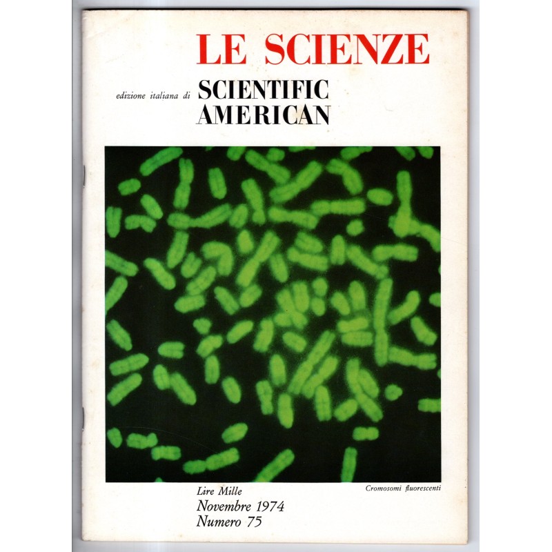 LE SCIENZE. EDIZIONE ITALIANA DI SCIENTIFIC AMERICAN-n 75, novembre-1974