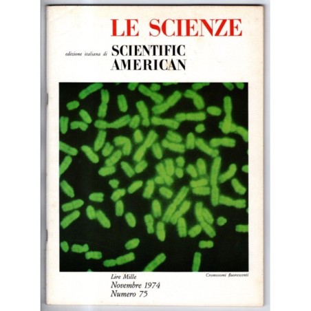 LE SCIENZE. EDIZIONE ITALIANA DI SCIENTIFIC AMERICAN-n 75, novembre-1974