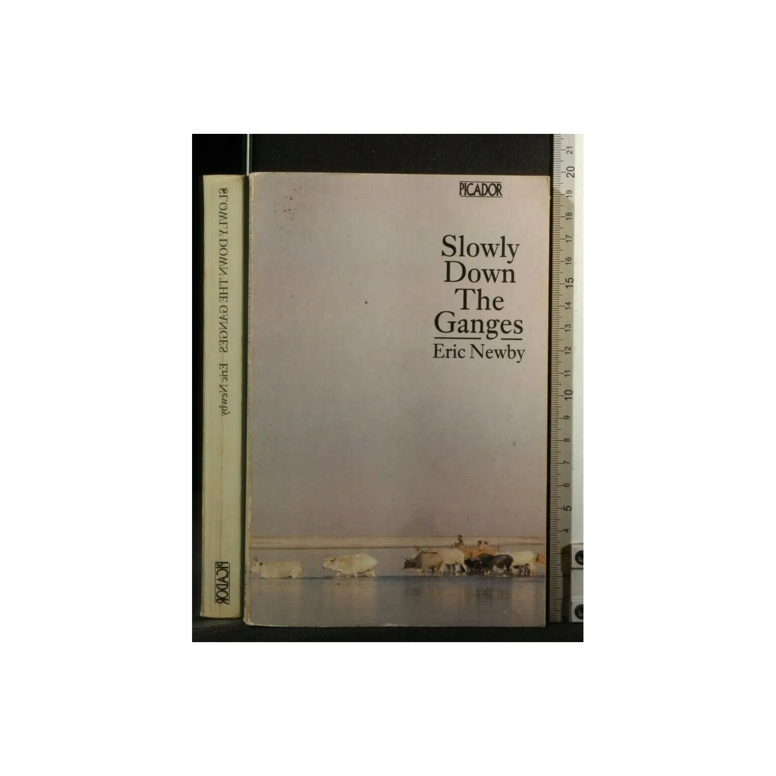 SLOWLY DOWN THE GANGES