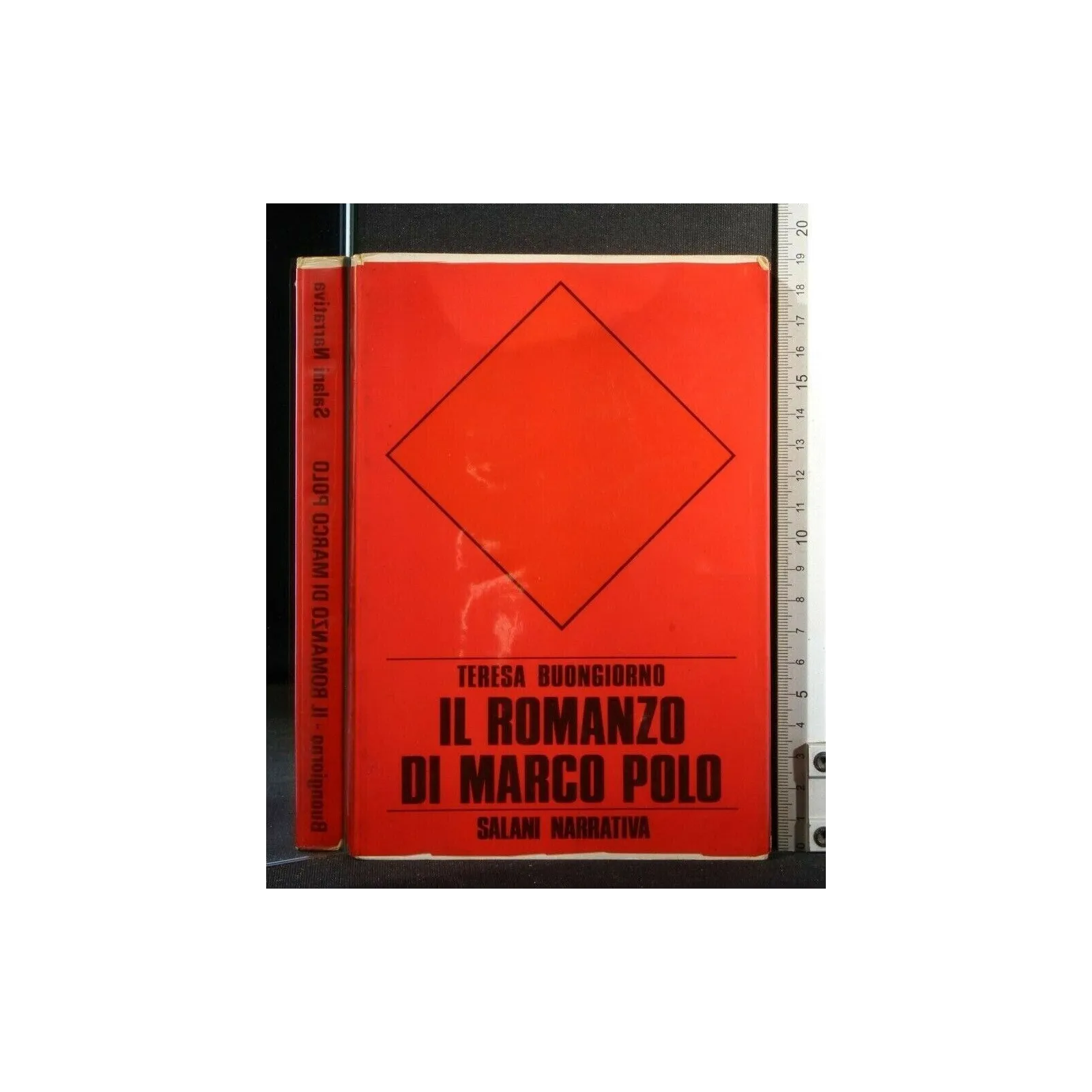 IL ROMANZO DI MARCO POLO