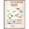 LE SCIENZE. EDIZIONE ITALIANA DI SCIENTIFIC AMERICAN-n 195, novembre-1984