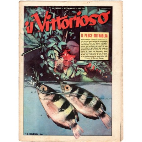 IL VITTORIOSO-n 36, 9 settembre-1951