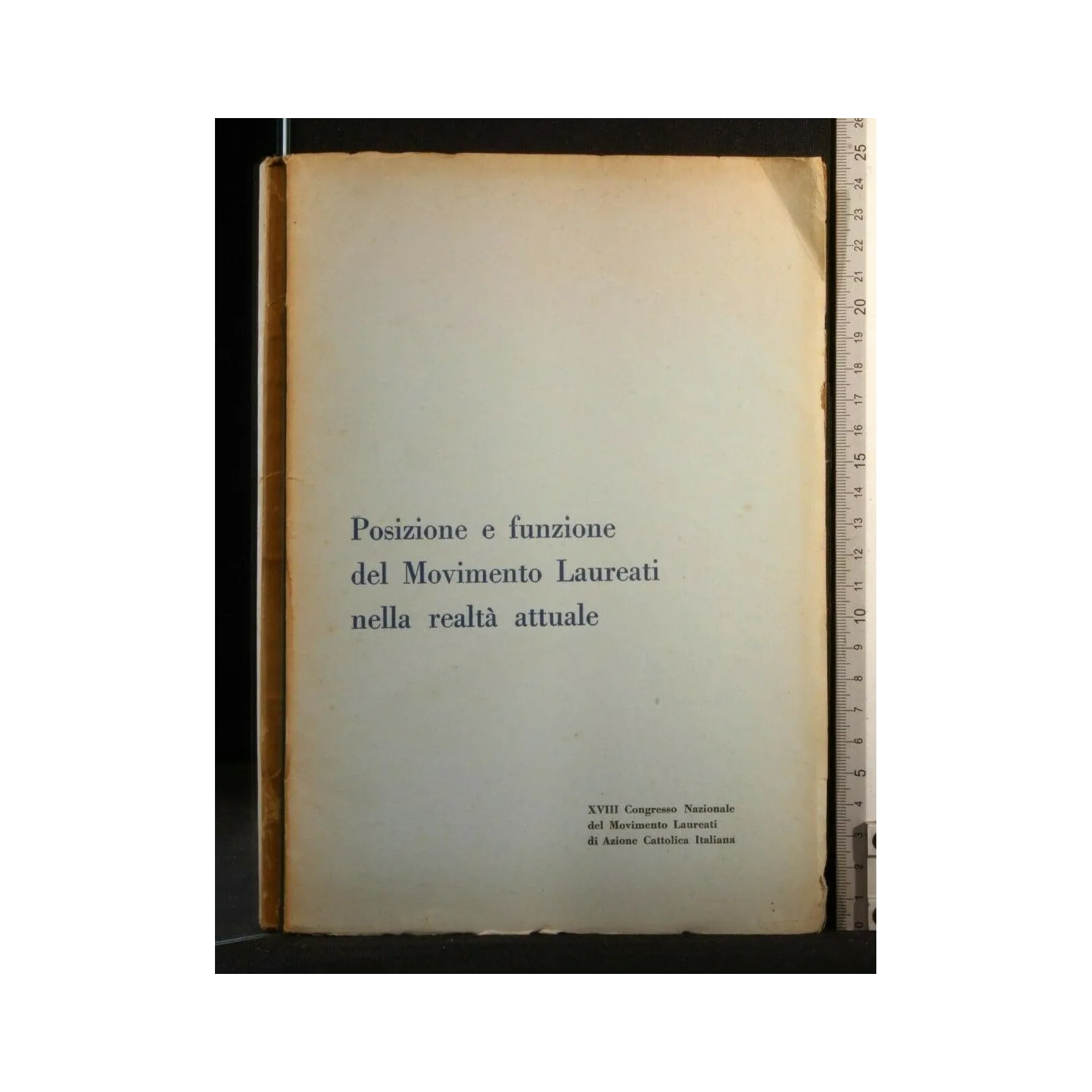 POSIZIONE E FUNZIONE DEL MOVIMENTO LAUREATI NELLA REALTA'
