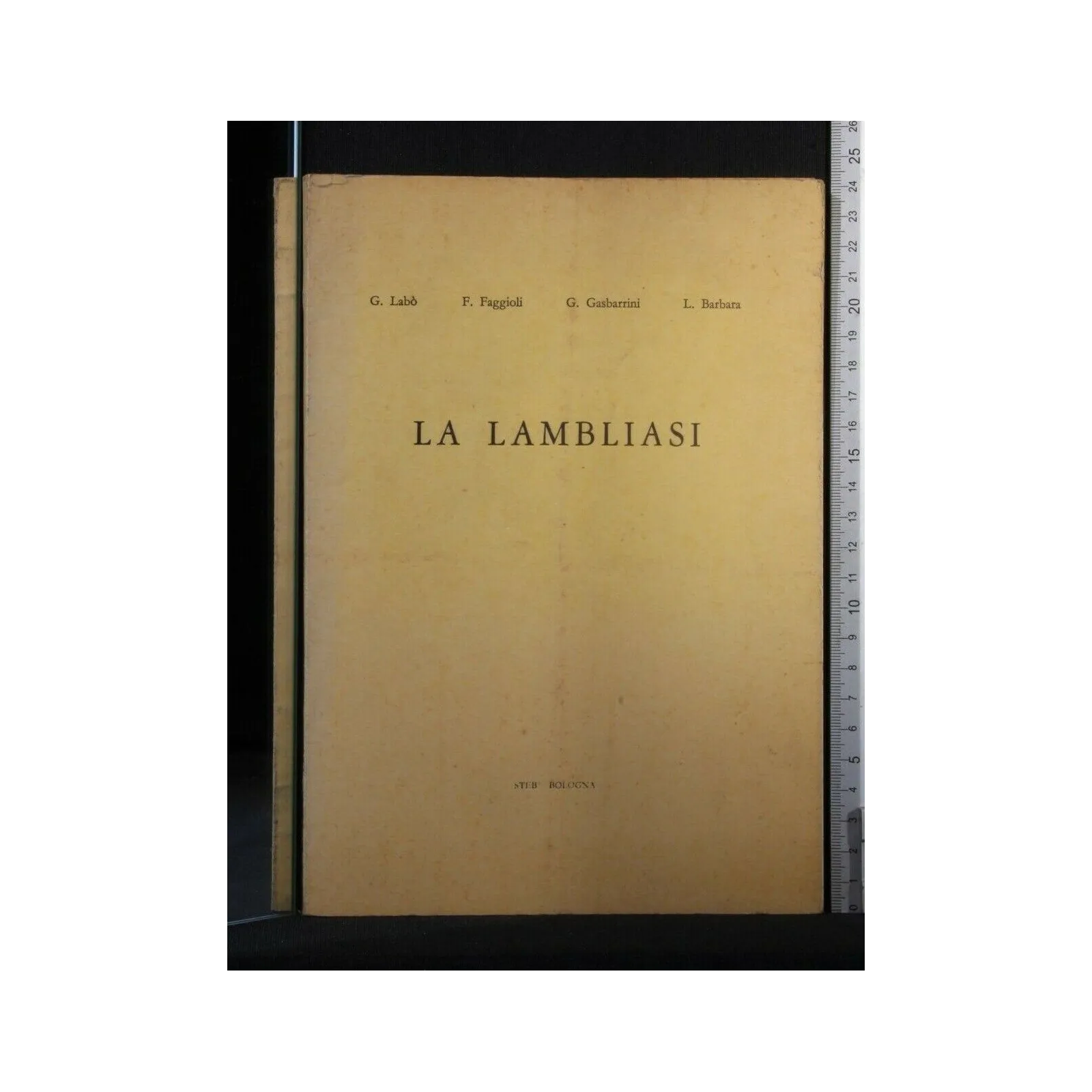 LA LAMBLIASI