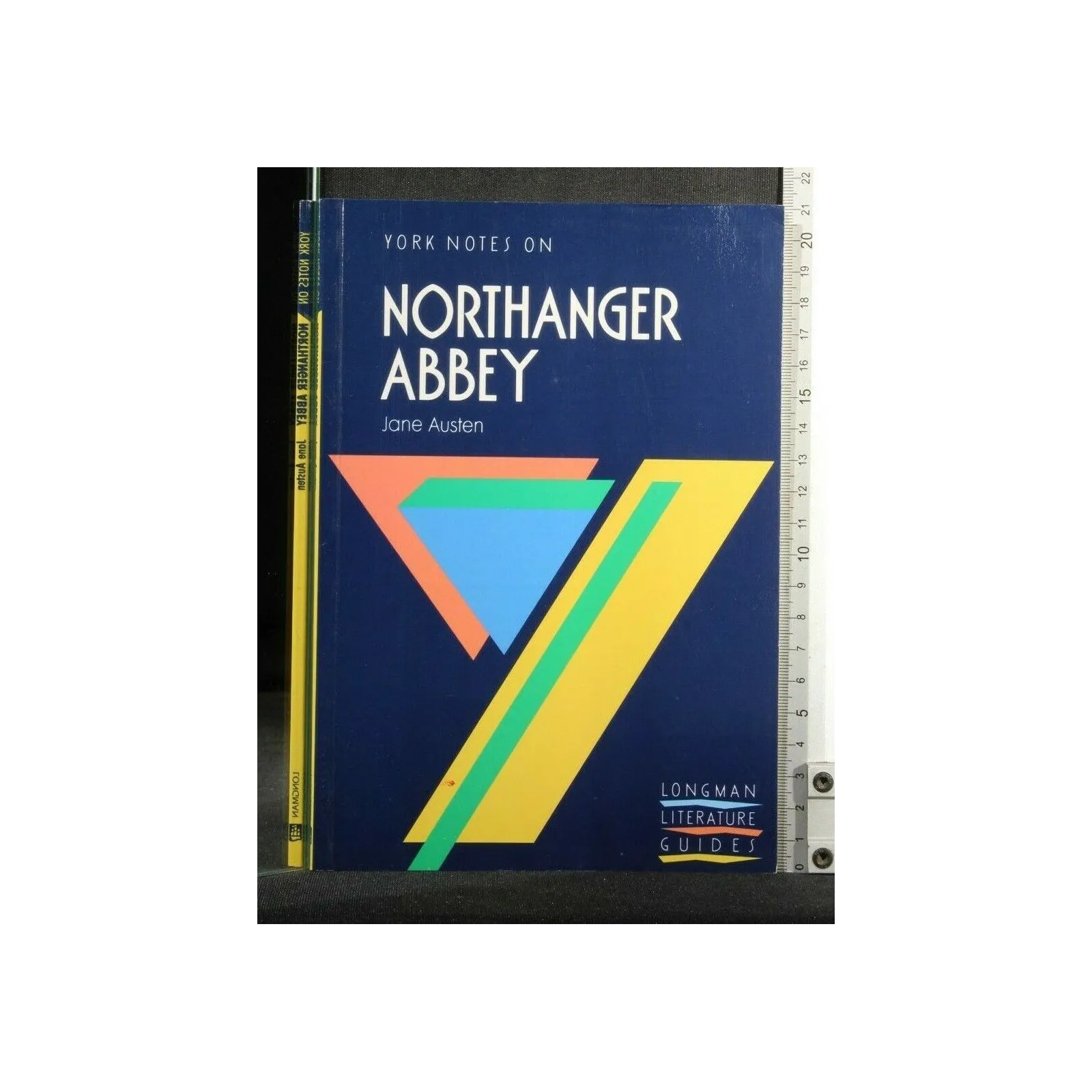 YORK NOTES ON NORTHANGER ABBEY