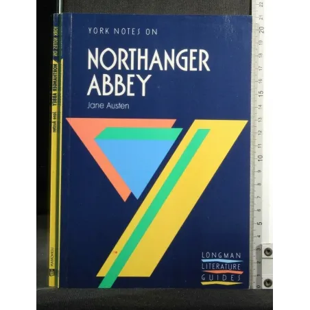 YORK NOTES ON NORTHANGER ABBEY