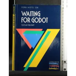 YORK NOTES ON WAITING FOR GODOT
