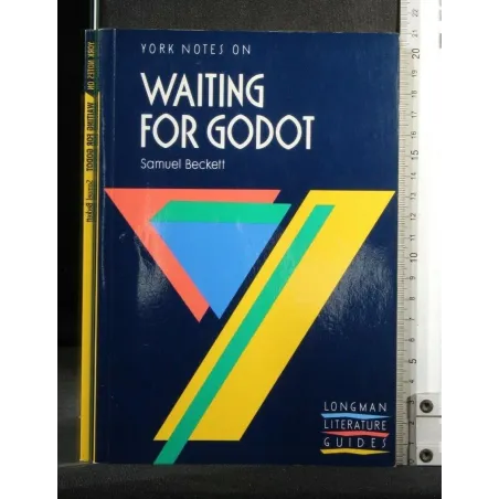 YORK NOTES ON WAITING FOR GODOT