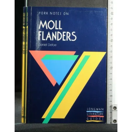 YORK NOTES ON MOLL FLANDERS