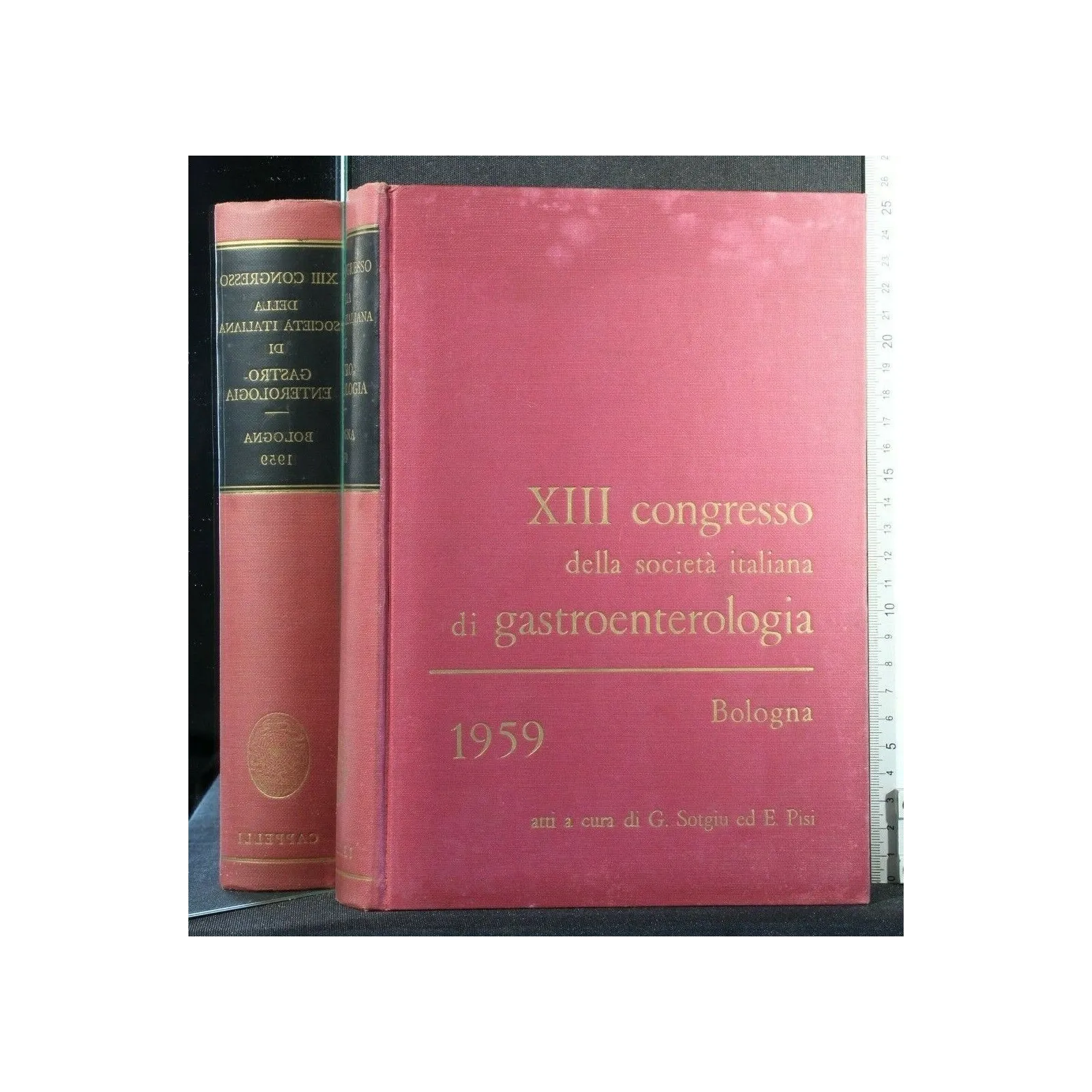 XIII CONGRESSO DELLA SOCIETA' ITALIANA DI GASTROENTEROLOGIA