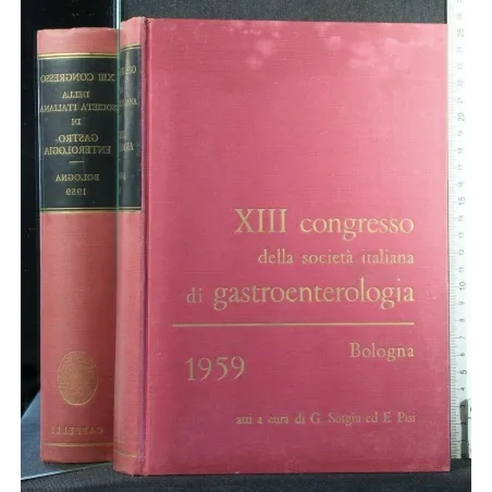 XIII CONGRESSO DELLA SOCIETA' ITALIANA DI GASTROENTEROLOGIA