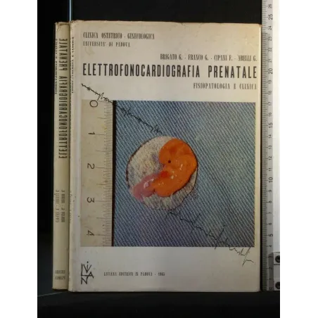 ELETTROFONOCARDIOGRAFIA PRENATALE FISIOPATOLOGIA E CLINICA