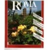 ROMA IERI, OGGI, DOMANI-n 14, luglio/agosto-1989