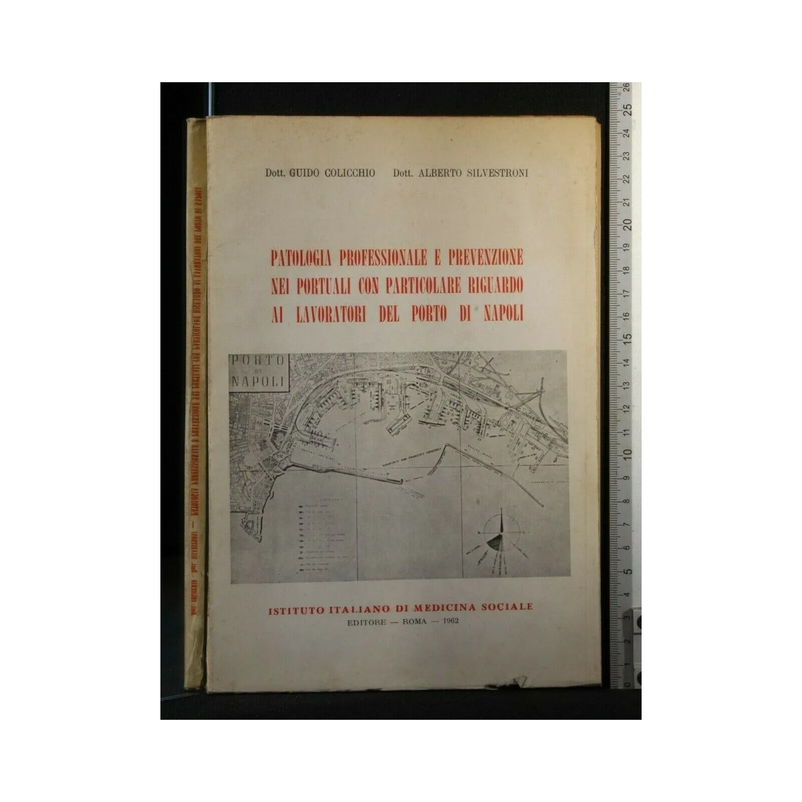PATOLOGIA PROFESSIONALE E PREVENZIONE NEI PORTUALI CON