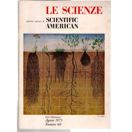 LE SCIENZE. EDIZIONE ITALIANA DI SCIENTIFIC AMERICAN-n 60, agosto-1973