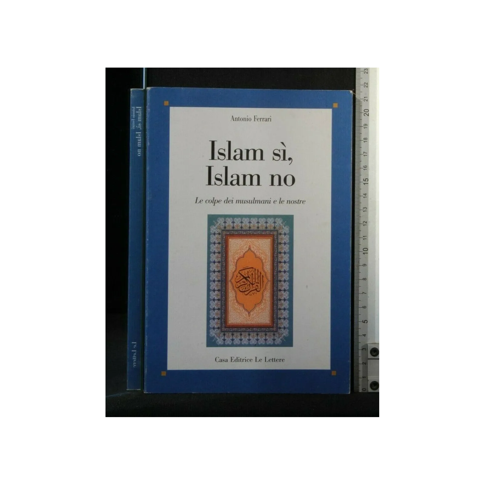 ISLAM SI, ISLAM NO LE COLPE DEI MUSULMANI E LE NOSTRE