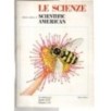 LE SCIENZE. EDIZIONE ITALIANA DI SCIENTIFIC AMERICAN-n 116, aprile-1978