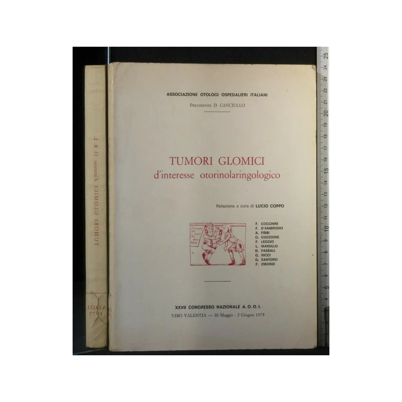 TUMORI GLIMICI D'INTERESSE OTORINOLARINGOLOGICO XXVII CONGRESSO