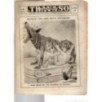 IL TRAVASO-n 21, 20 maggio-1956