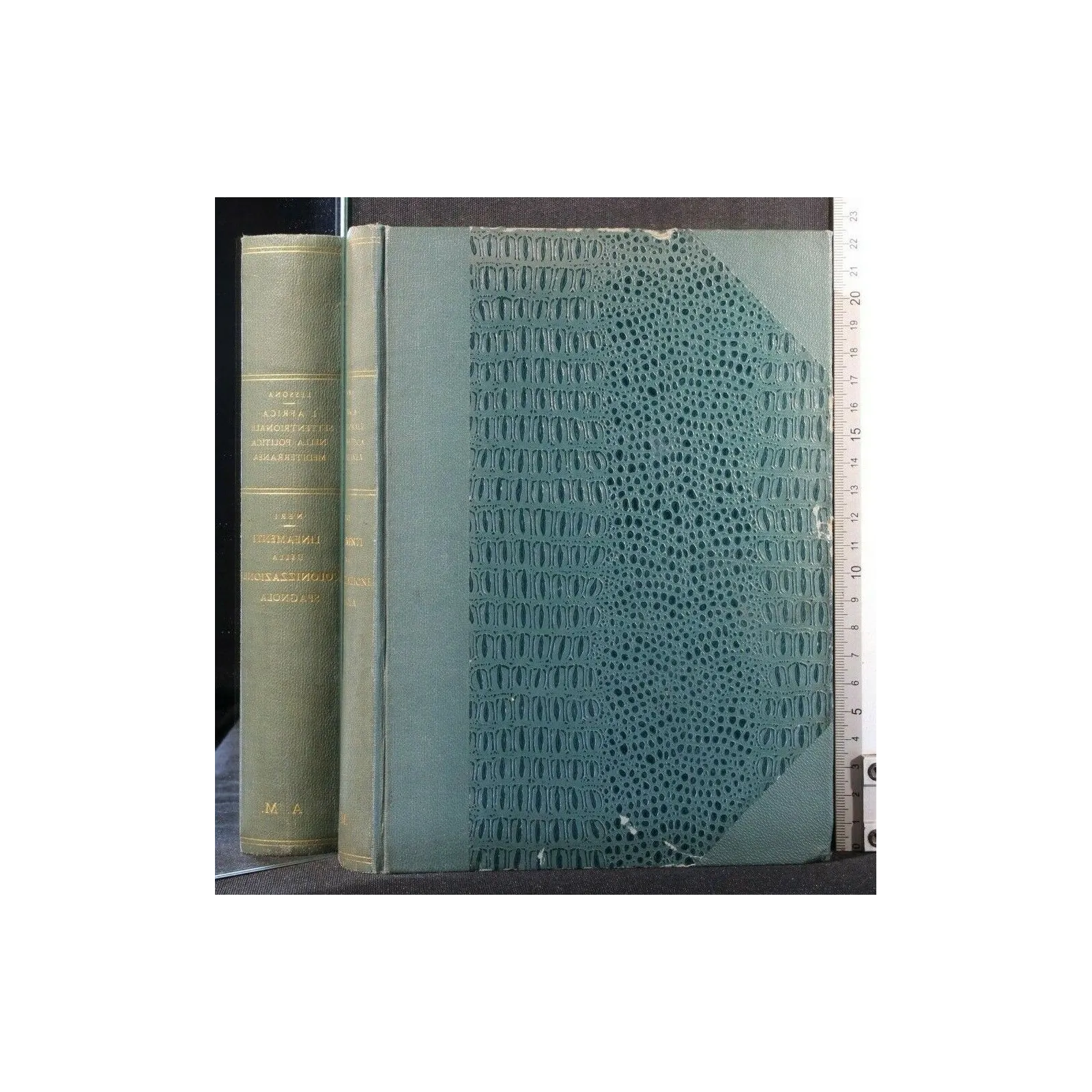 L'AFRICA SETTENTRIONALE NELLA POLITICA MEDITERRANEA LINEAMENTI