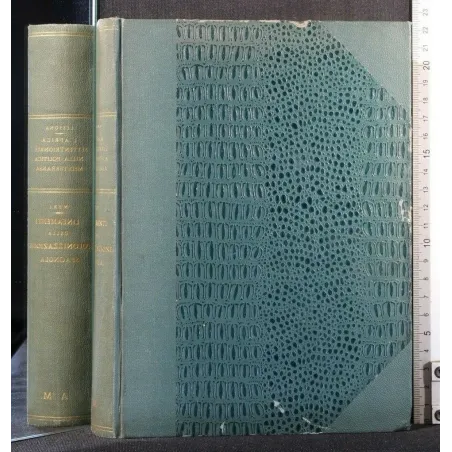 L'AFRICA SETTENTRIONALE NELLA POLITICA MEDITERRANEA LINEAMENTI