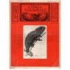 L'ITALIA COLONIALE-n 3, marzo-1932