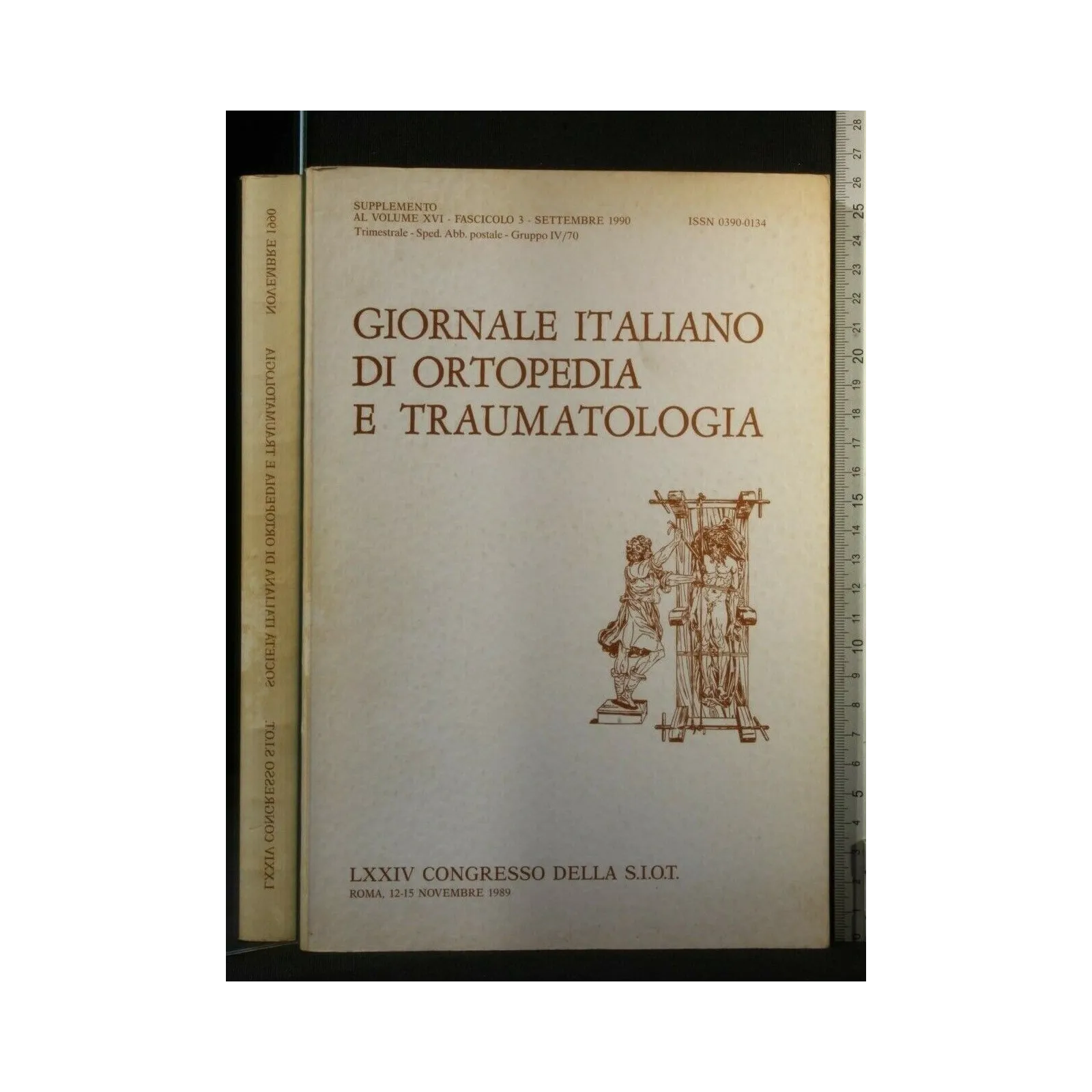IL GIORNALE ITALIANO DI ORTOPEDIA E TRAUMATOLOGIA SUPPL VOL XVI