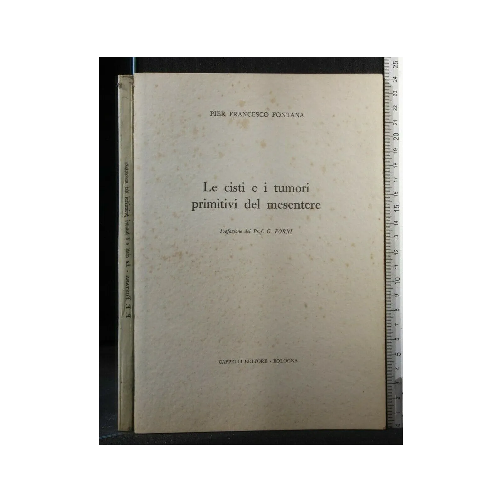 LE CISTI E I TUMORI PRIMITIVI DEL MESENTERE